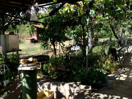 Spacious country house with nice garden located in a quiet village in Bulgaria
