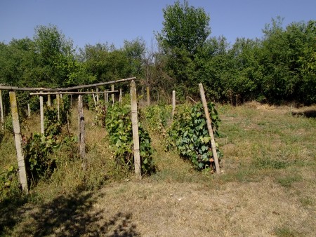 Spacious country house with nice garden located in a quiet village in Bulgaria