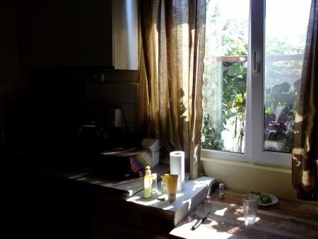 Spacious country house with nice garden located in a quiet village in Bulgaria