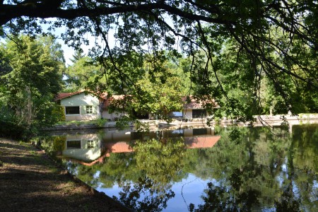 Stunning Spec House in a Large Park with Boasting Panoramic Lake View in the Mist of Conservation Ea