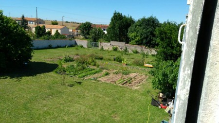 Large comfortable family home with character, productive walled garden and income