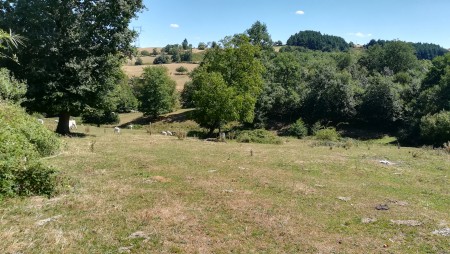 Completely restored former farm in the beuatiful and peacefull coutryside of the Allier near Vichy