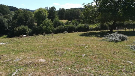 Completely restored former farm in the beuatiful and peacefull coutryside of the Allier near Vichy