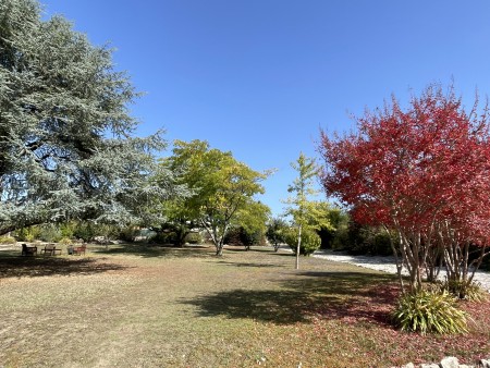 Large family home with mature walled garden and pool, near amenities