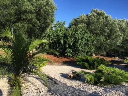 Magical Villa with Pool, Casa Christina Ostuni