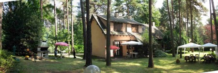 Cottage into the forest