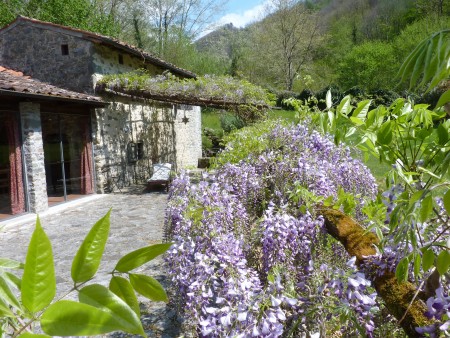 Enchanting Tuscan country home with swimming-pool,beautiful gardens and 10 ha of woodland