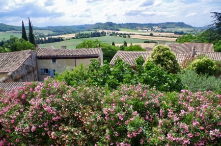 Ancient Stone House between Toulouse and the Mediterranean