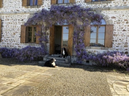 Historic Chateau with cottage and equine facilities