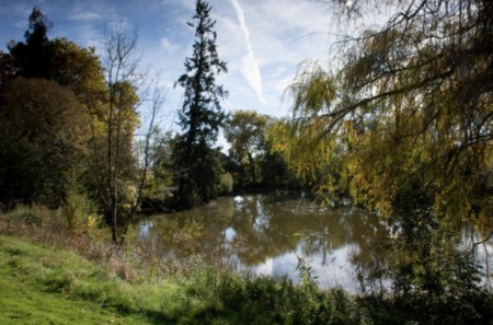 Historic Chateau with cottage and equine facilities