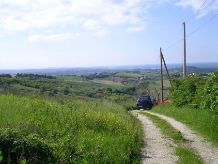 Building land for sale at Monteluro - City of Tavullia (PU)