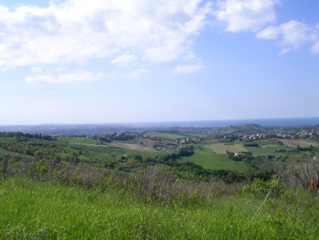 Building land for sale at Monteluro - City of Tavullia (PU)