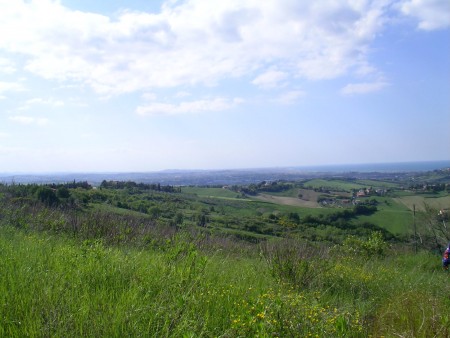 Building land for sale at Monteluro - City of Tavullia (PU)