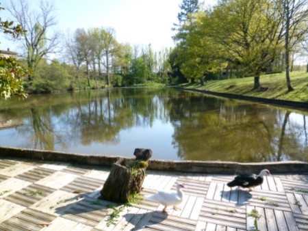 Stunning Spec House in a Large Park with Boasting Panoramic Lake View in the Mist of Conservation Ea