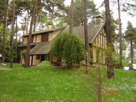 Cottage into the forest