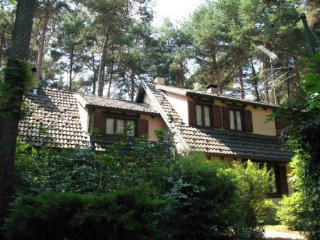 Cottage into the forest