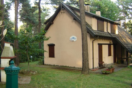 Cottage into the forest