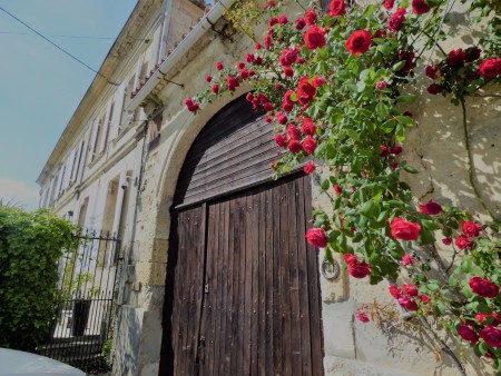 Bordeaux wine region - Manor House with Separate  Gite